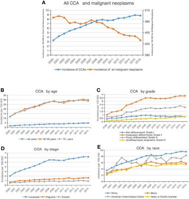 Recent Trends in the Incidence of Clear Cell Adenocarcinoma and Survival Outcomes: A SEER Analysis